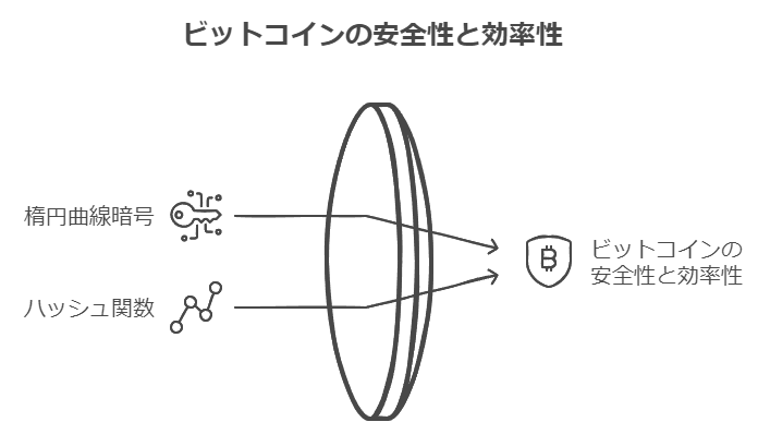 ビットコイン（BTC）の安全性と効率性